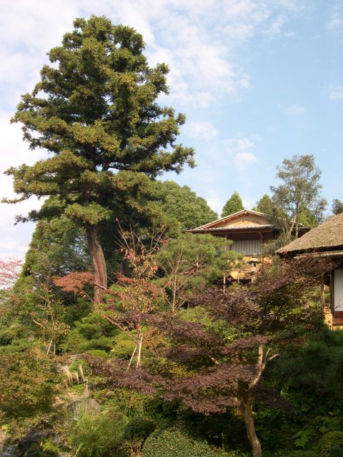 kyoto125.jpg