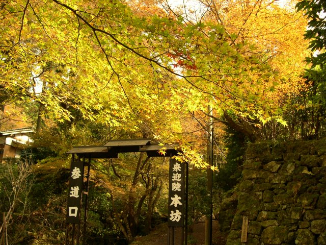 kyoto191.jpg