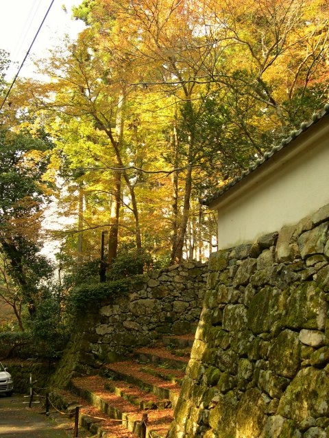 kyoto212.jpg