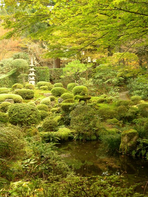 kyoto225.jpg