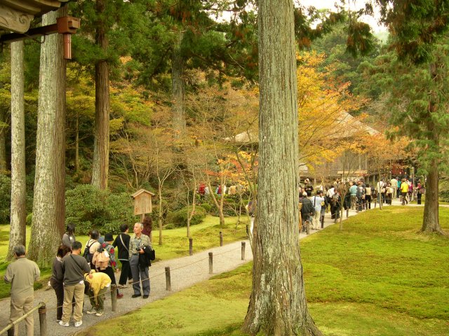 kyoto236.jpg