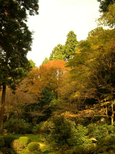 kyoto243.jpg