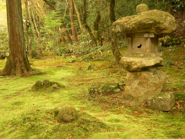 kyoto247.jpg