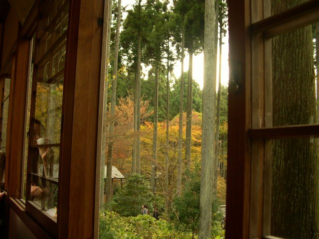 kyoto254.jpg