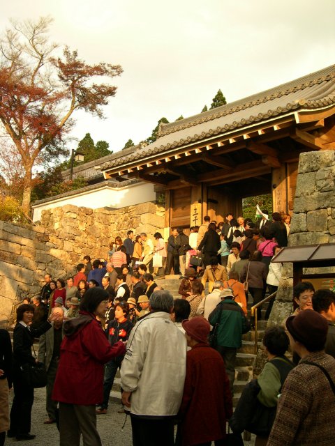 kyoto264.jpg