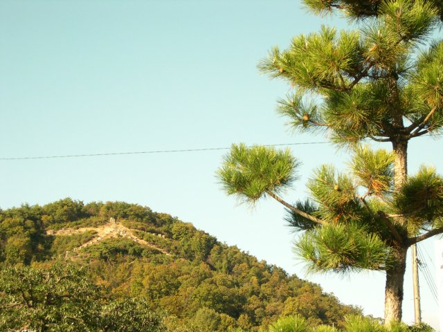 kyoto325.jpg