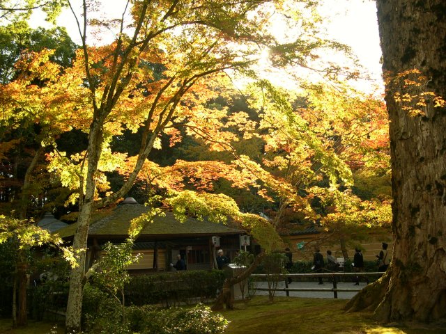 kyoto335.jpg