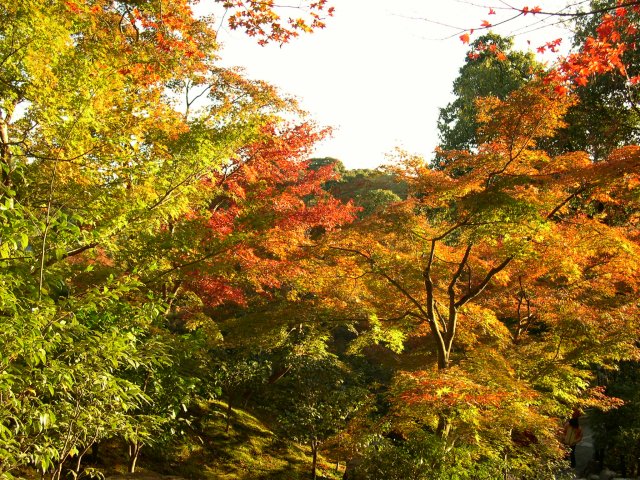 kyoto361.jpg