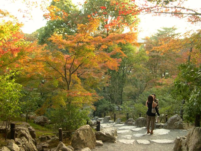 kyoto362.jpg