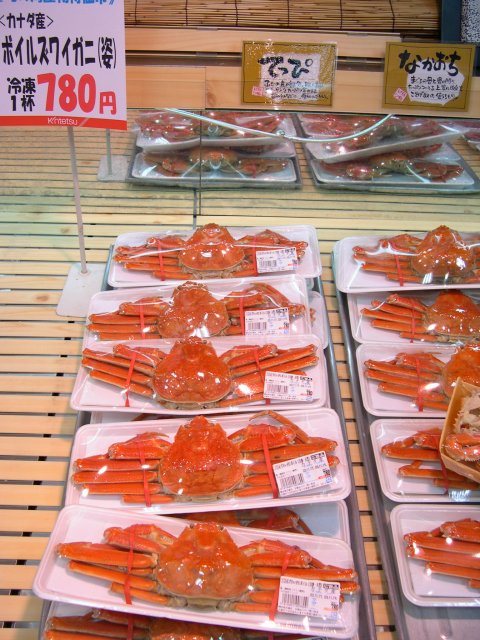 kyoto370.jpg