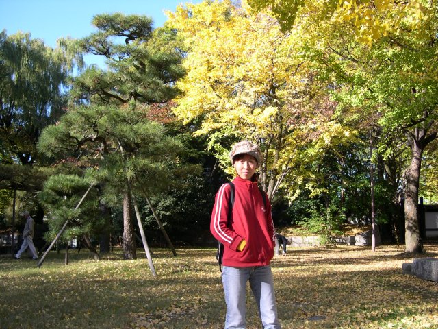 kyoto440.jpg