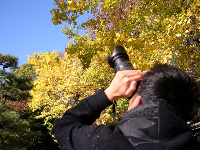 kyoto441.jpg