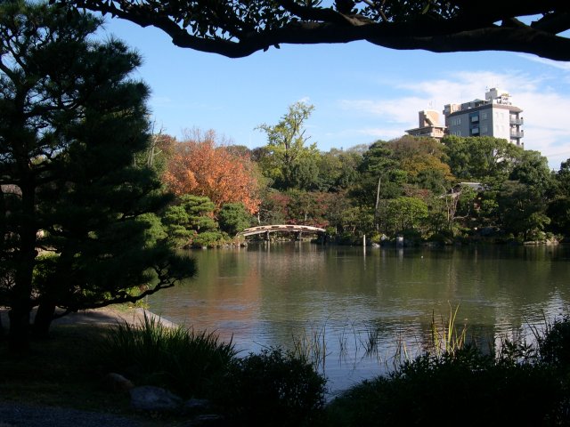 kyoto453.jpg