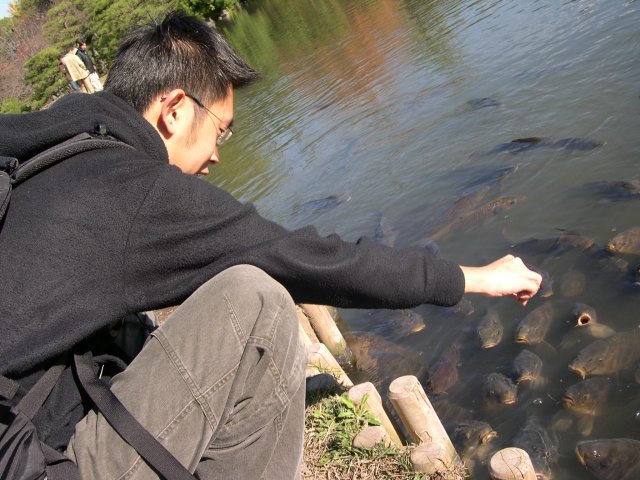 kyoto463.jpg
