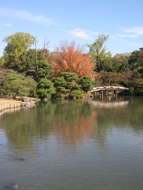 kyoto465.jpg