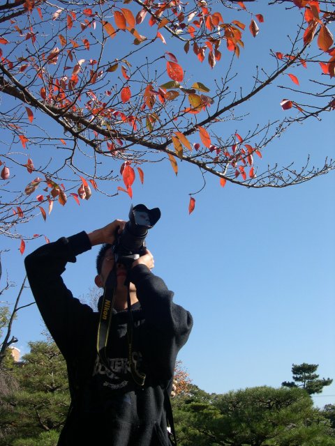 kyoto469.jpg